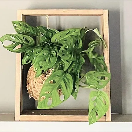 Town House Spagna 4*