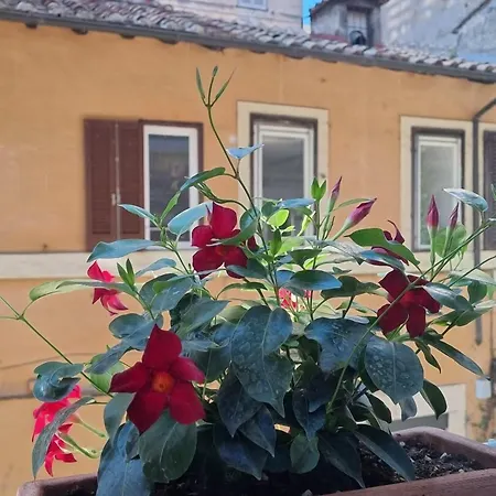 Town House Spagna Konukevi 4*