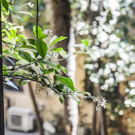 Town House Spagna Konukevi 4*